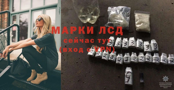 PSILOCYBIN Баксан